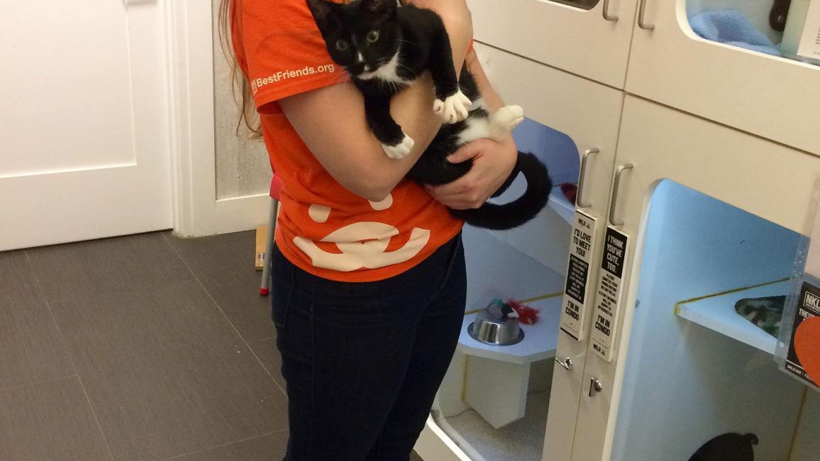 Cat volunteer Vanessa with a cat