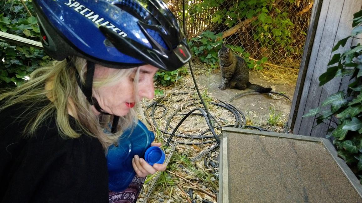 Woman wearing a helmet with a tabby community cat in the background