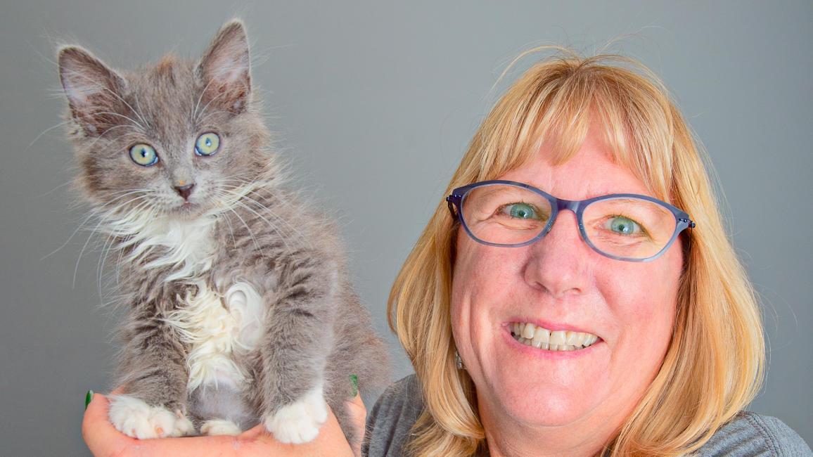 Volunteer Cheryl Baker smiling and holding a gray and white kitten