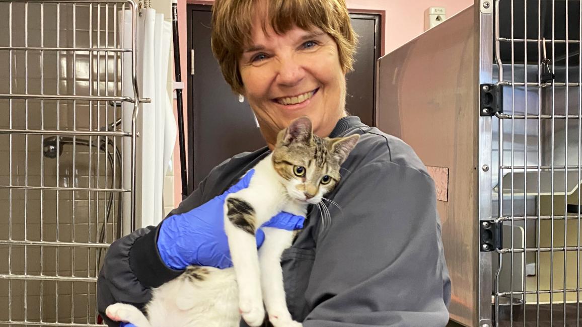 Volunteer Heather Mahood holding a tabby and white cat in front of kennels