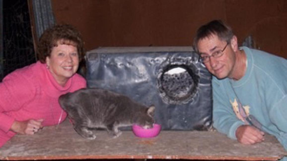 Selenium test image - create