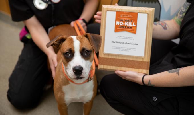 Dog next to people holding a Best Friends no-kill plaque