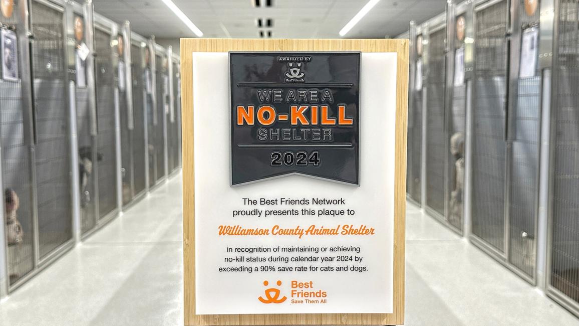 Williamson County Animal Shelter plaque in front of dog kennels