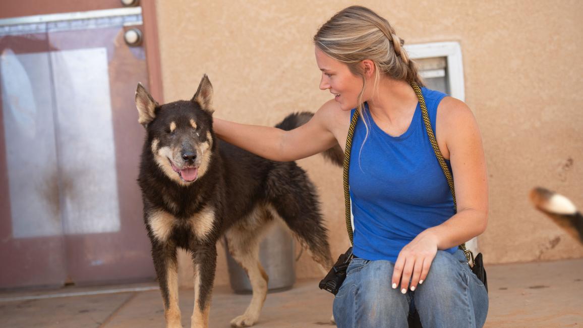 Woormwood the dog standing next to a person who is petting him