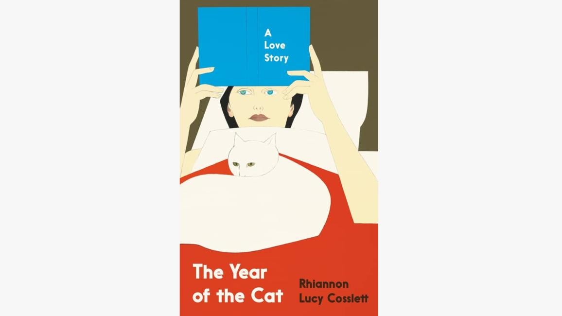 ‘The Year of the Cat’ book cover