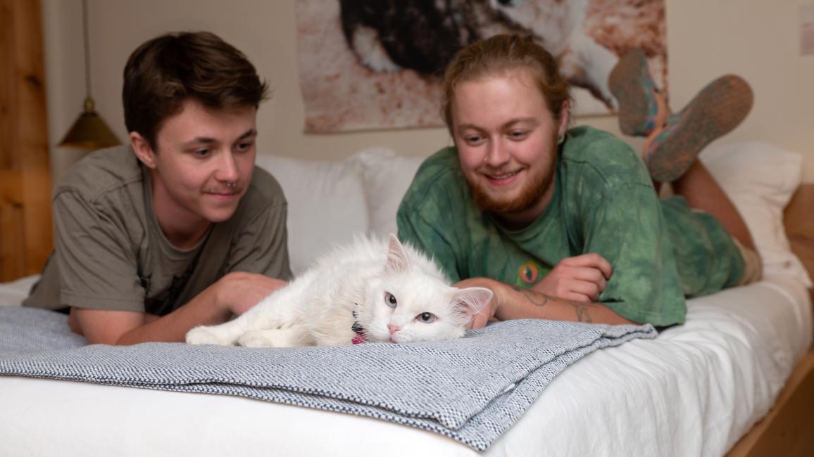 Zima the cat lying on a bed with her adopters
