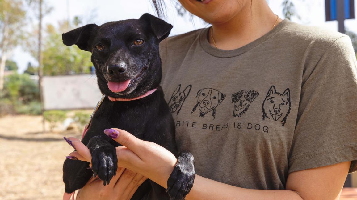 Smiling person holding a small black dog