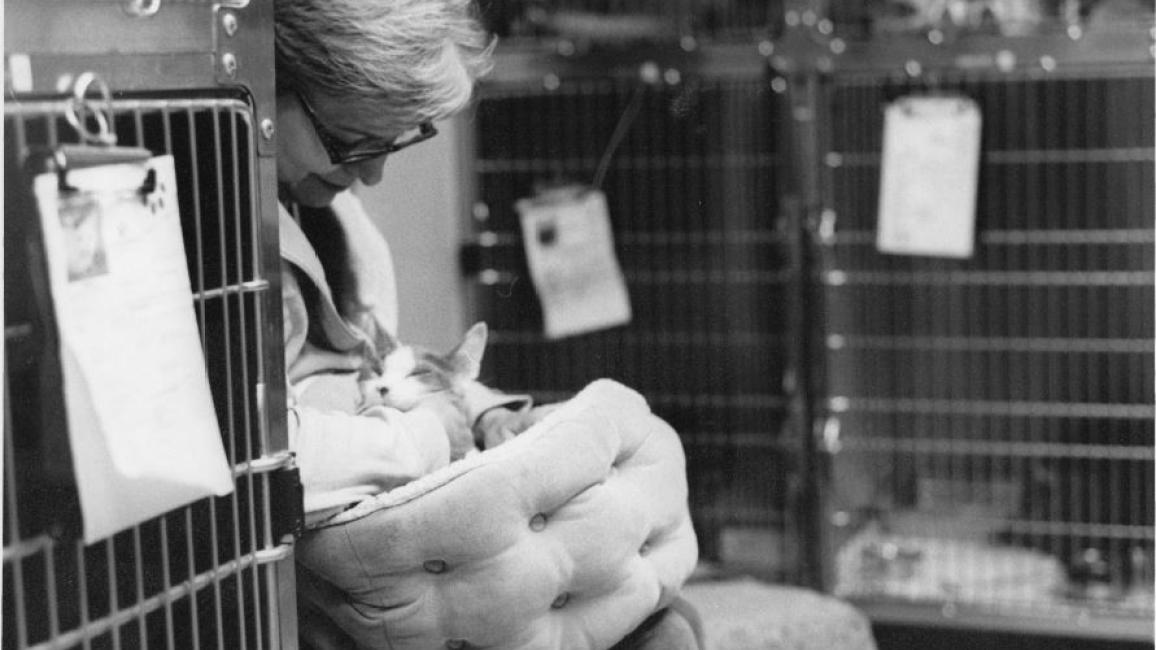 Volunteer Sarita with kitten