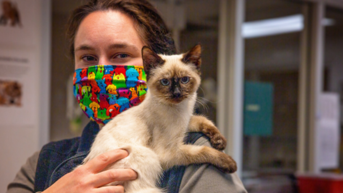 woman in a mask holds a cat