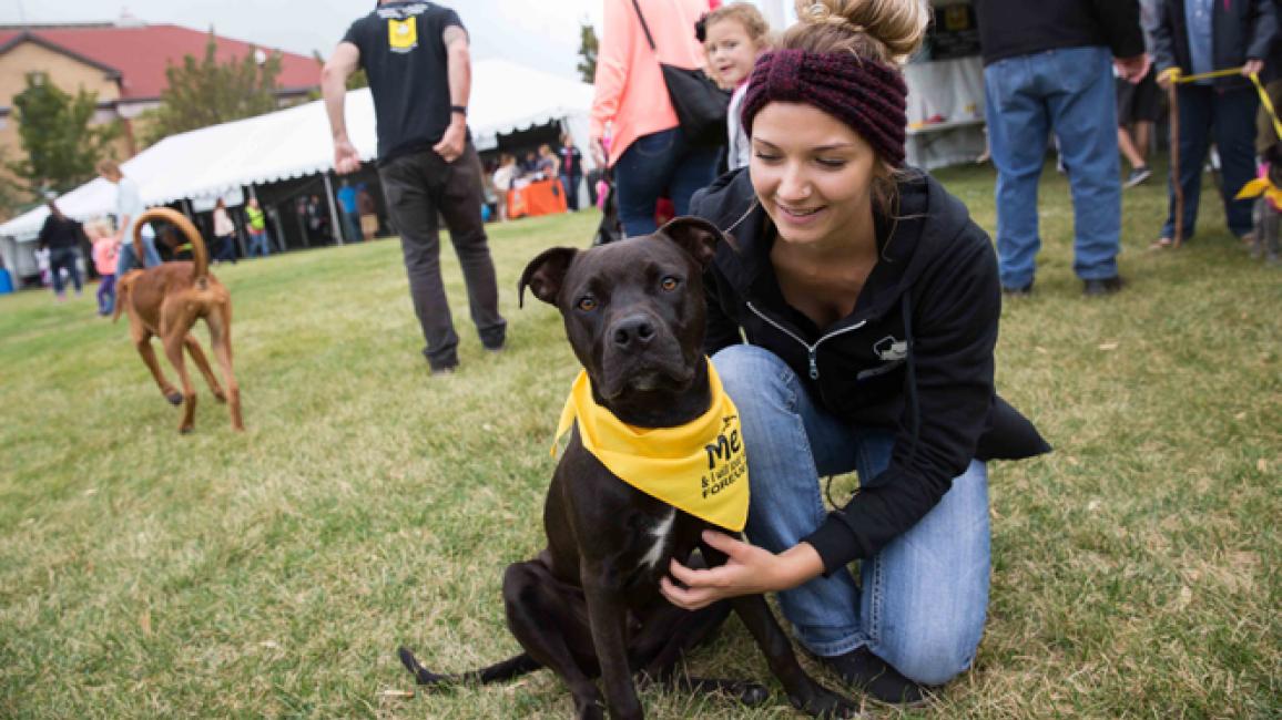 Pet super adoption event in Utah