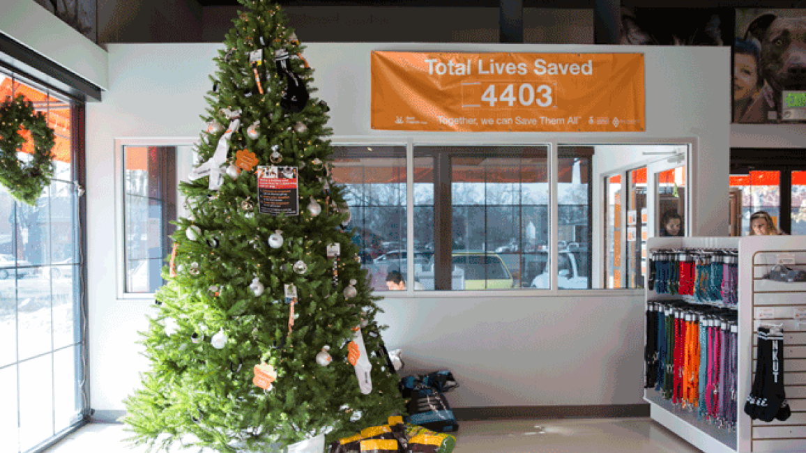 Best Friends Giving Tree