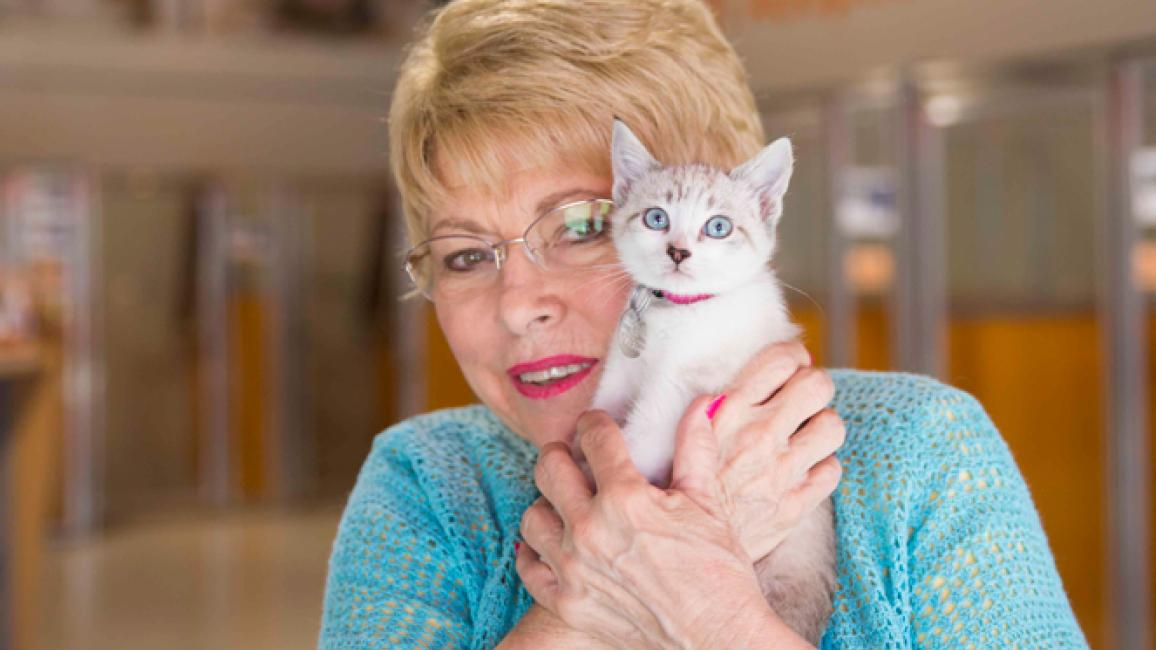 Selenium test image - create