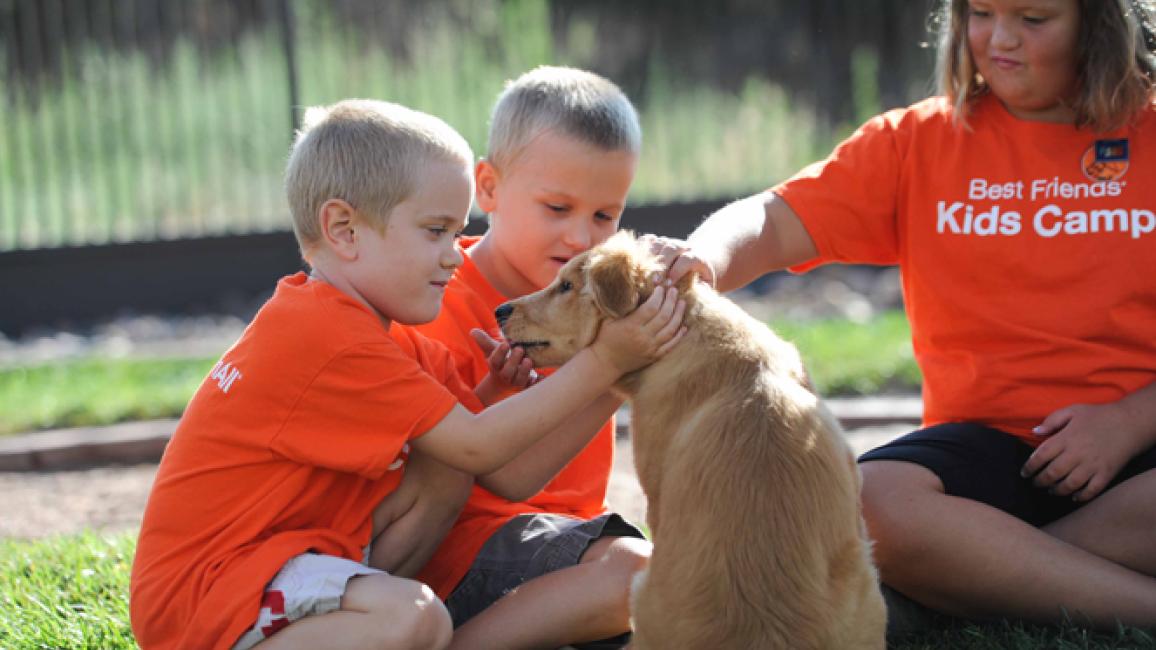 Selenium test image - create