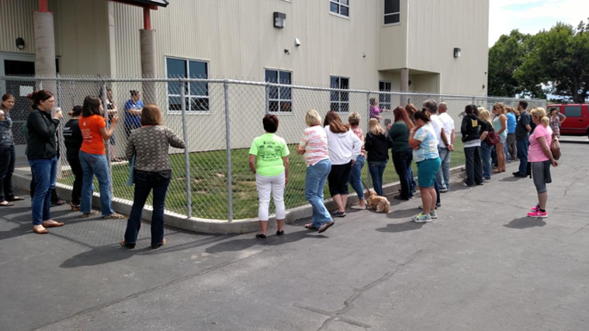 Selenium test image - create