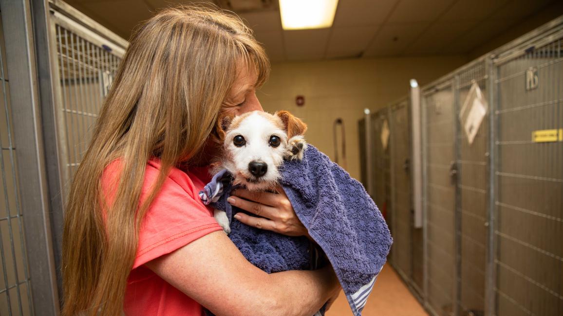 Person hugging a small white and tan dog in a blue blanket in the hallway between dog kennels