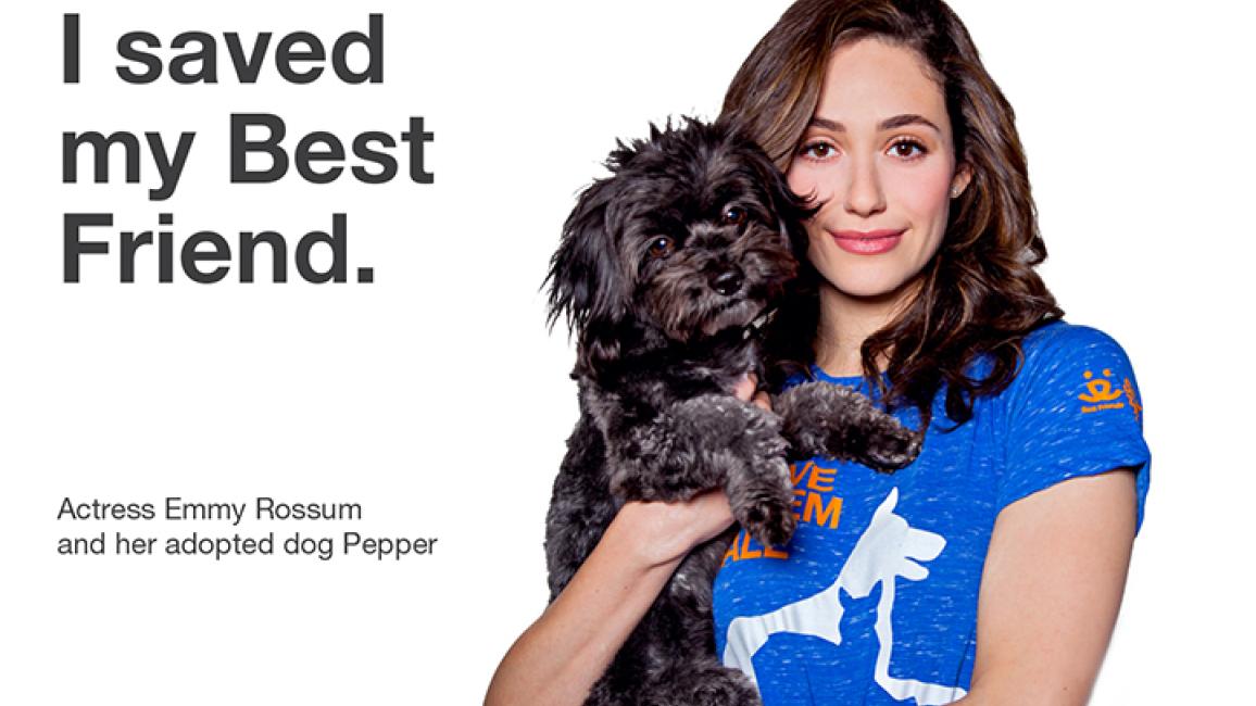 Emmy Rossum and small dog