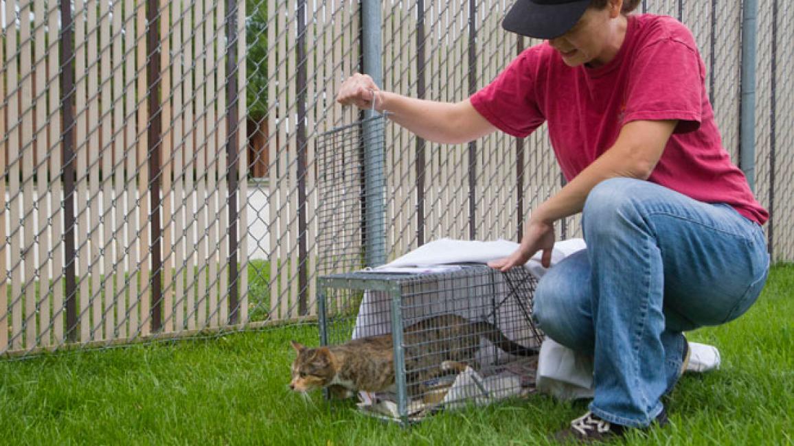 Selenium test image - create