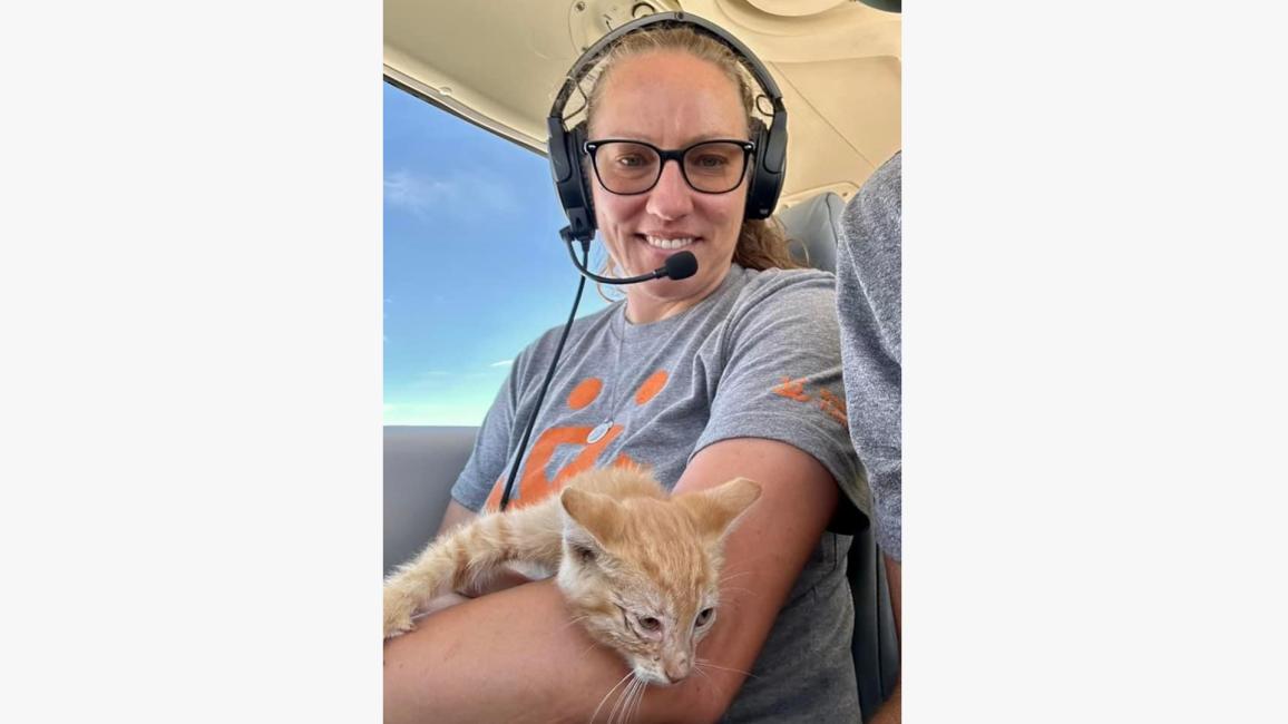 Amy holding the orange kitten in the plane