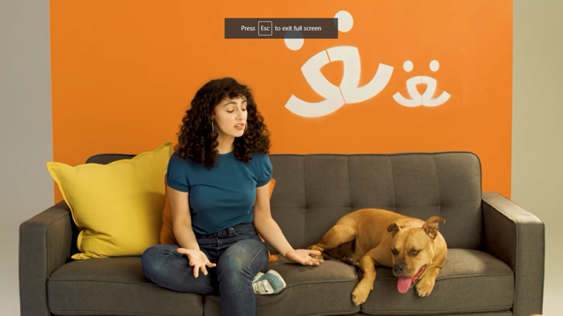 Screen shot of woman talking to a dog, with them both on a couch and a Best Friends logo behind them