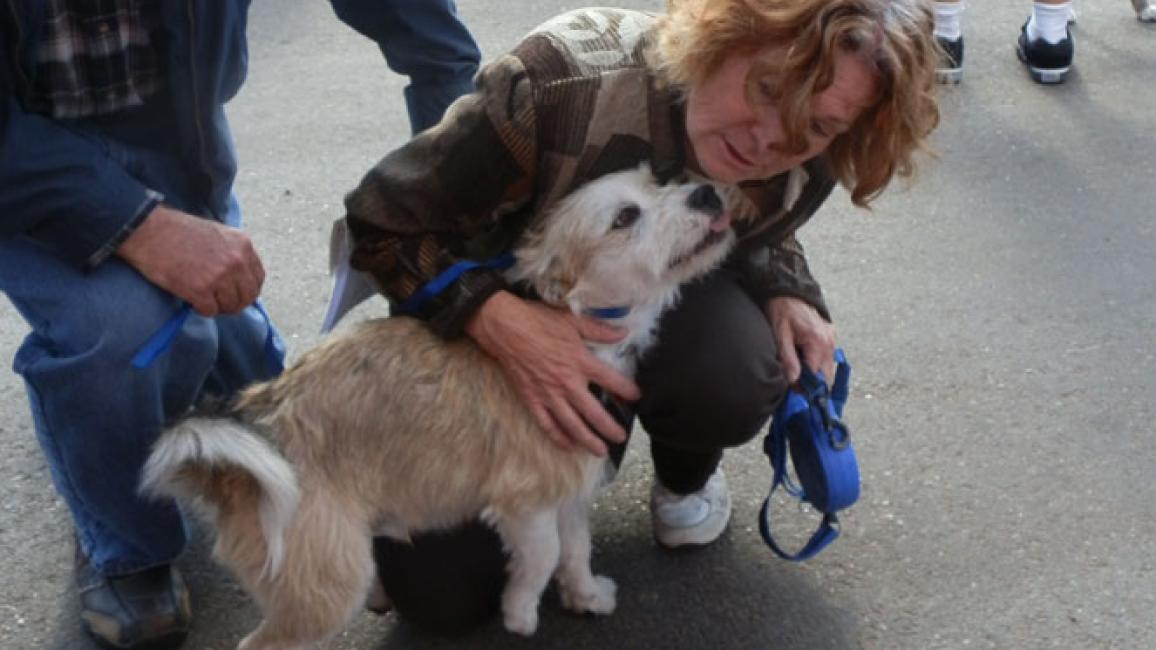 woman with white dog