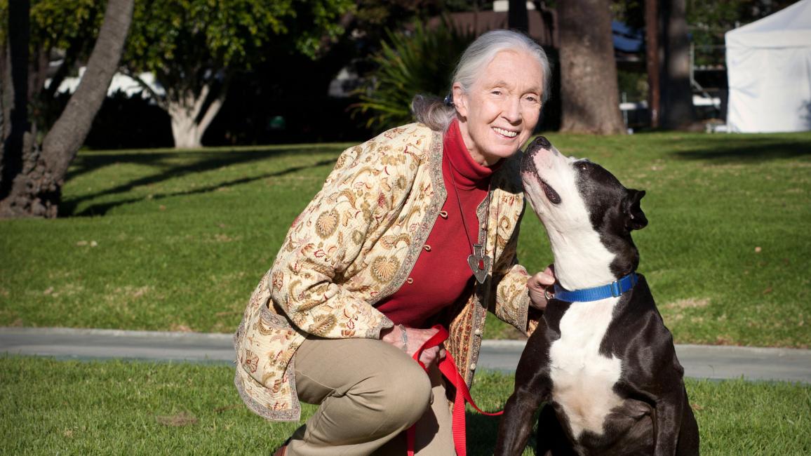 Jane Goodall kneeling down beside a black and white dog