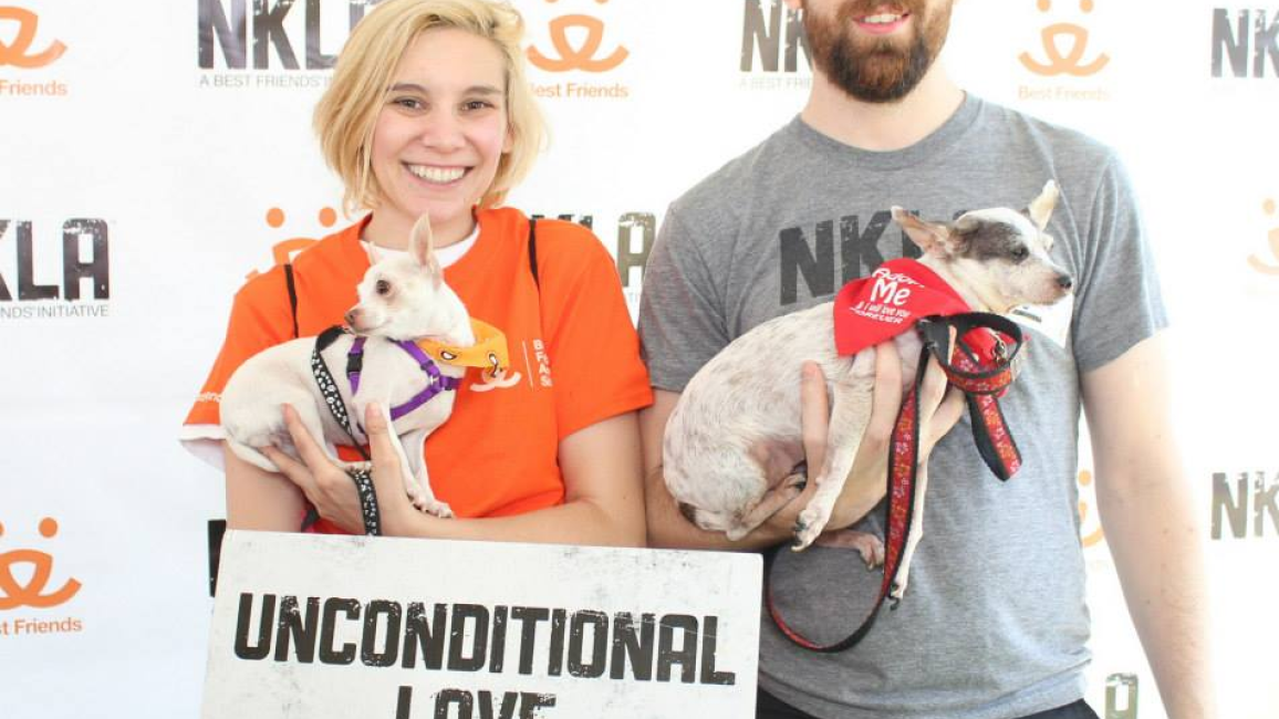 Volunteer Ryan at an NKLA adoption event