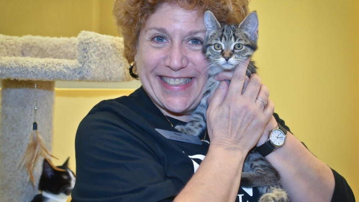 Sue T. with kitten