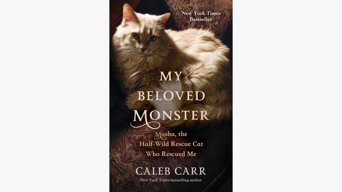 "My Beloved Monster: Masha, the Half-Wild Rescue Cat Who Rescued Me" book cover