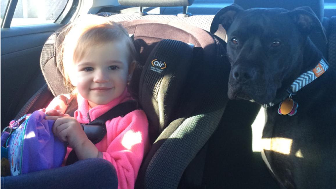 Selenium test image - create