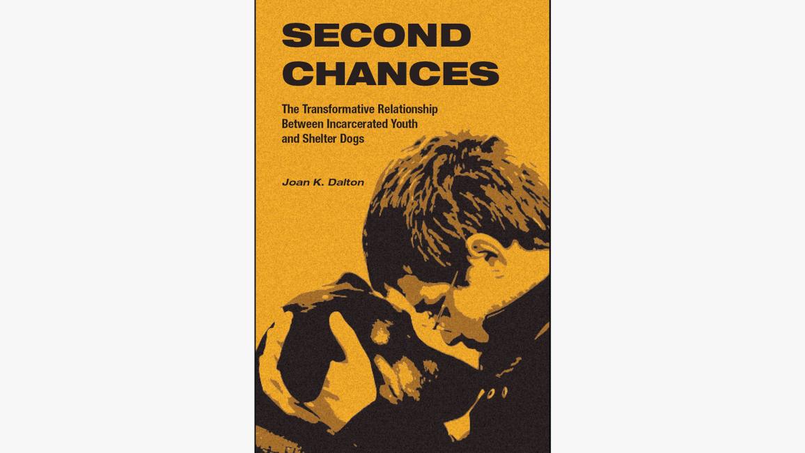 Book cover for "Second Chances: The Transformative Relationship Between Incarcerated Youth and Shelter Dogs"