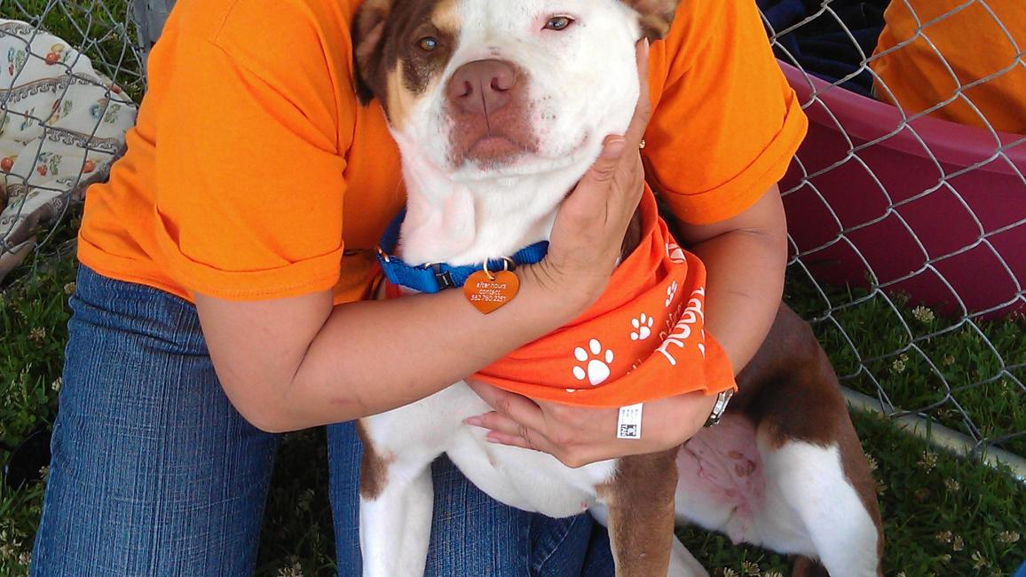 Volunteer Sophia Lim with a dog