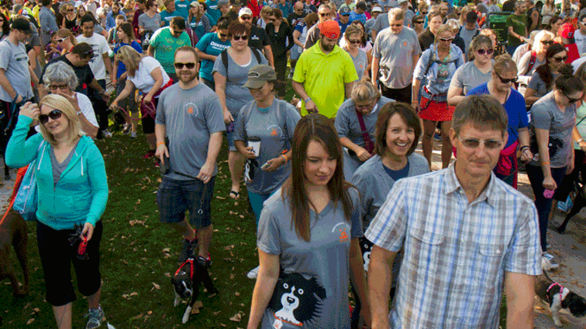 Selenium test image - create