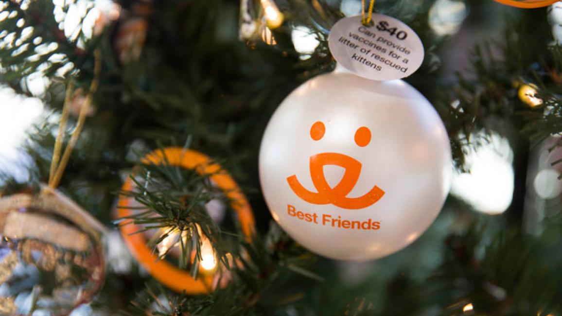 Selenium test image - create