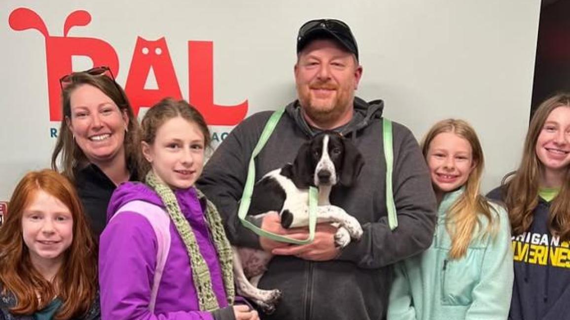 Vixen the black and white puppy being adopted by a family