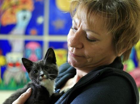 Louisiana-volunteer-Cat-World-kitten.jpg