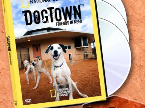 SI_DogTownFriendsInNeedDVD3D.jpg