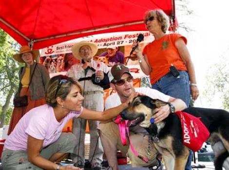 SI_LASuperAdoption.jpg
