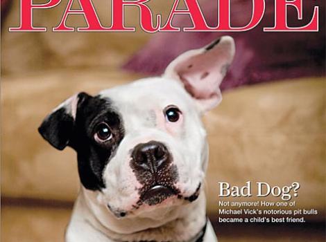 SI_paradecover.jpg