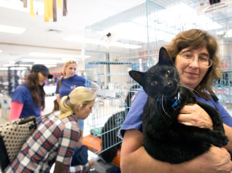 Salt-Lake-City-Pet-Super-Adoption-Utah-Cat.jpg