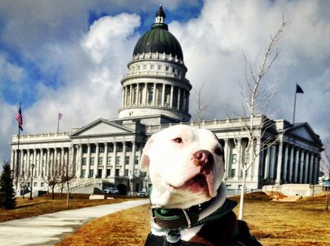 Utah-HB97-breed-discriminatory-legislation-Capitol.jpg
