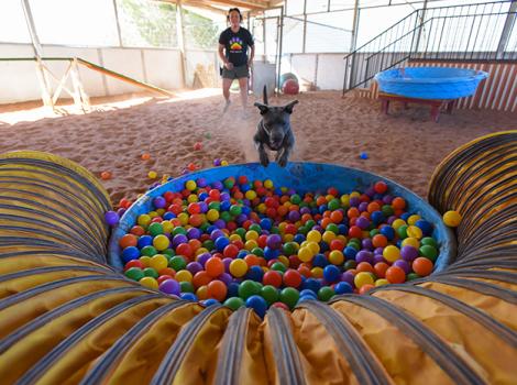 00-Bruce-Sam-Ball-Pit-6833KB.jpg