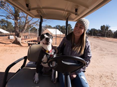 01-Dog-bucket-list-Jessie-Golf-Cart-7567KB.jpg