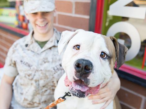 Veterans-Day-Pets-For-Vets-0620sak.jpg