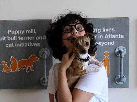 Atlanta-Chihuahua-adoption.jpg