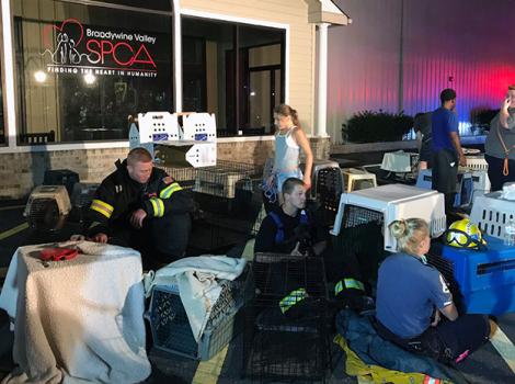 Brandywine-Valley-SPCA.jpg