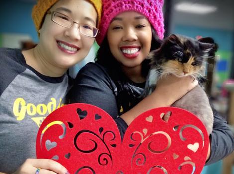 FIV-cat-adoption-Valentine.jpg