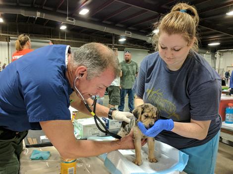 Vet-care-Hurricane-Harvey-20170903-102735.jpgML_.jpg