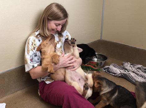 Volunteer-Charlene-Puppies.jpg