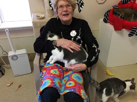 Volunteer-Lillian-Lamb-cats.jpg