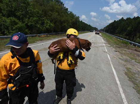 Ensure-Rescue-Hurricane-Harvey-6669MW-blog.jpg